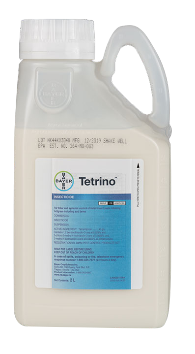 Tetrino
